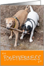 Togetherness Card - Two Dogs Sharing A Stick card