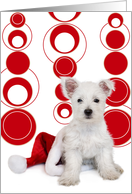 Christmas Card - West Highland Terrier Puppy and Santa Hat card