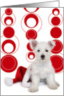 Christmas Card - West Highland Terrier Puppy and Santa Hat card