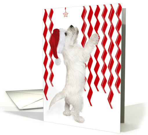 Christmas Card- Westie Puppy Reaching Up For Star card (807185)
