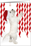 Christmas Card- Westie Puppy Reaching Up For Star card