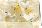 Wedding Invitation - Pretty Floral card