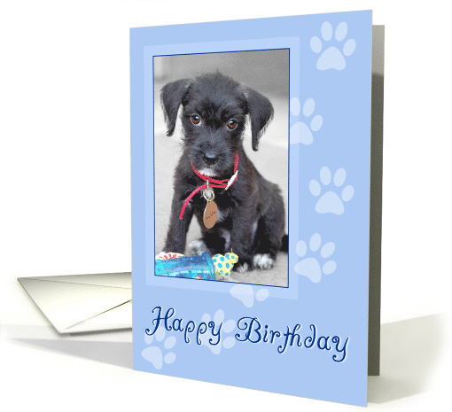 Birthday Card - Cutest Tiny Pup Ever - Blue card (812352)