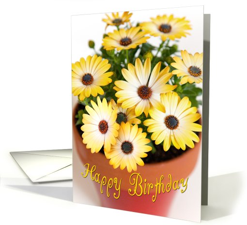 Birthday Card - Sunny Flowers card (812920)
