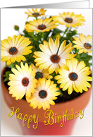 Birthday Card - Sunny Flowers card