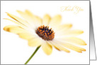 Thank You Card - Contemporary Soft Focus Flower card