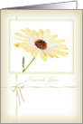 Thank You Card - Soft Focus Flower card