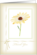 Thank You Card - Soft Focus Single Flower card
