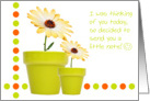 Thinking of you Note Card - Dots, Pots and Flowers Fun card