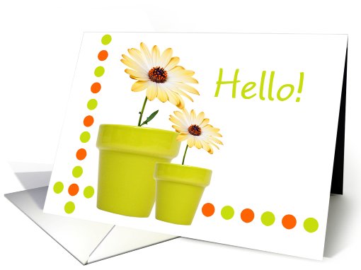 Hello Card - Dots, Pots and Flowers Fun card (818258)