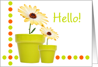 Hello Card - Dots, Pots and Flowers Fun card