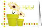 Hello Card - Dots, Pots and Flowers Fun card