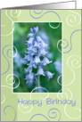 Birthday Card - Swirls and Bluebells card