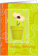 Birthday Card - Bright and Swirly Flower in a Pot card