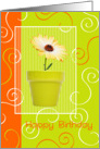 Birthday Card - Bright and Swirly Flower in a Pot card