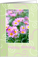 Birthday Card - Swirls and Pink Flowers card