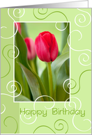Birthday Card - Swirls and Tulips card