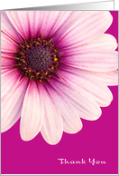 Thank You Card - Simply Floral in Pink card