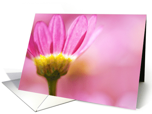 Blank Greeting Card - Gentle Floral in Pink card (829167)