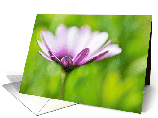 Blank Greeting Card - Dream of a Flower card (829169)