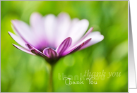 Thank You Friend Card - Dream of a Flower card