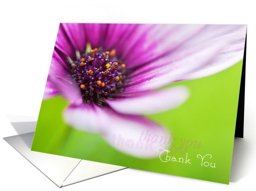 Thank You Friend Card - Floral Display card (829889)