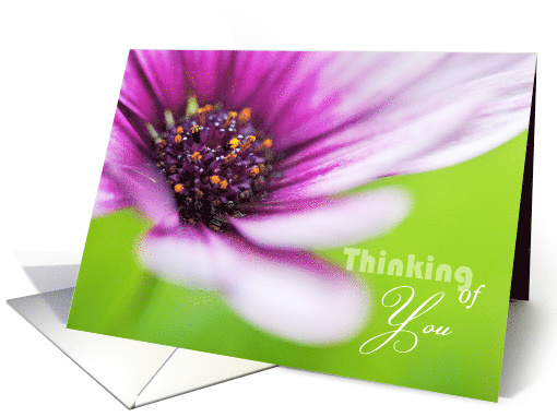 Thinking of You Card - Floral Display card (829896)