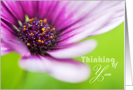 Thinking of You Card - Floral Display card