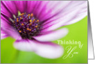 Thinking of You Card - Floral Display card