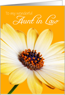 Aunt in Law Birthday Card - Sunny Flower against an Orange Background card