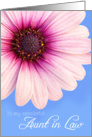 Aunt in Law Birthday Card - Light Pink Flower against a Blue Background card