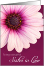 Sister in Law Birthday Card - Light Pink Flower against a Burgundy Background card