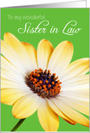 Sister in Law Birthday Card - Sunny Flower against a Green Background card