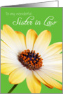 Sister in Law Birthday Card - Sunny Flower against a Green Background card