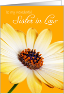 Sister in Law Birthday Card - Sunny Flower against an Orange Background card