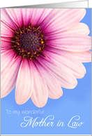 Mother in Law Birthday Card - Light Pink Flower against a Blue Background card