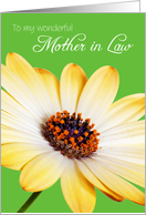 Mother in Law Birthday Card - Sunny Flower against a Green Background card