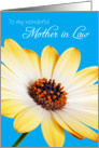 Mother in Law Birthday Card - Sunny Flower against a Blue Background card