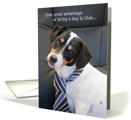 Birthday Card - Humorous Dog Wearing a Tie card (830994)