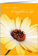 Daughter in Law Birthday Card - Sunny Flower against an Orange Background card