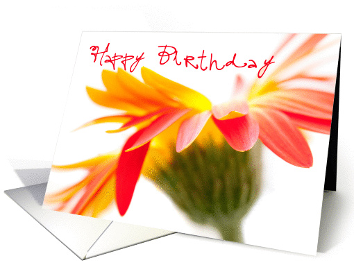 Birthday Card - Crazy Flower card (832426)