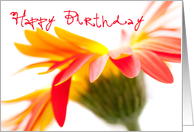 Birthday Card - Crazy Flower card