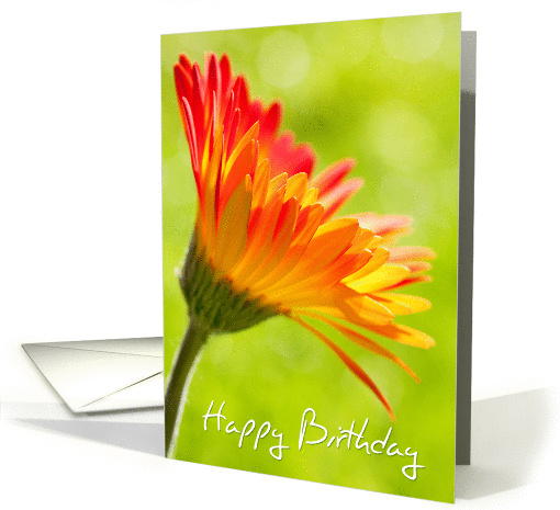 Birthday Card - Flower in the Sunshine card (832733)