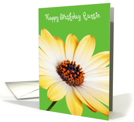 Auntie Birthday Card - Sunny Flower against a Green Background card