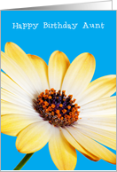 Aunt Birthday Card - Sunny Flower against a Blue Background card