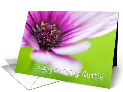 Auntie Birthday Card - Floral Display card (835023)