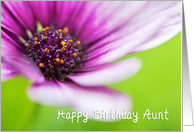 Aunt Birthday Card - Floral Display card