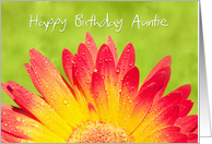 Auntie Birthday Card - Sunny and Bright Flower with Water Drops card