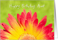 Aunt Birthday Card - Sunny and Bright Flower with Water Drops card