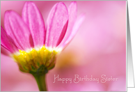Sister Birthday Card - Gentle Floral in Pink card